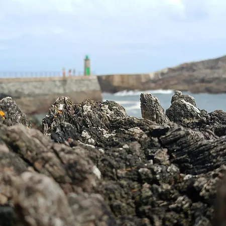 Apartmán Casa Fernanda Viavelez *