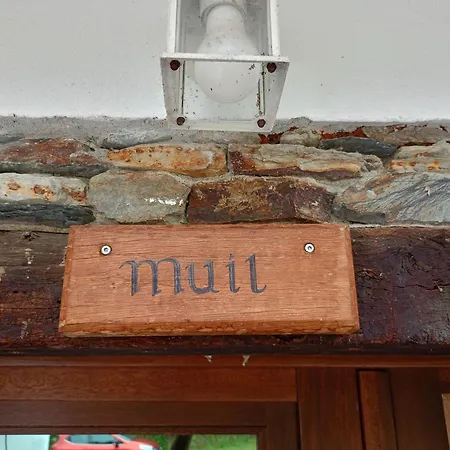 Casa Fernanda Viavelez